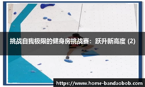 挑战自我极限的健身房挑战赛：跃升新高度 (2)